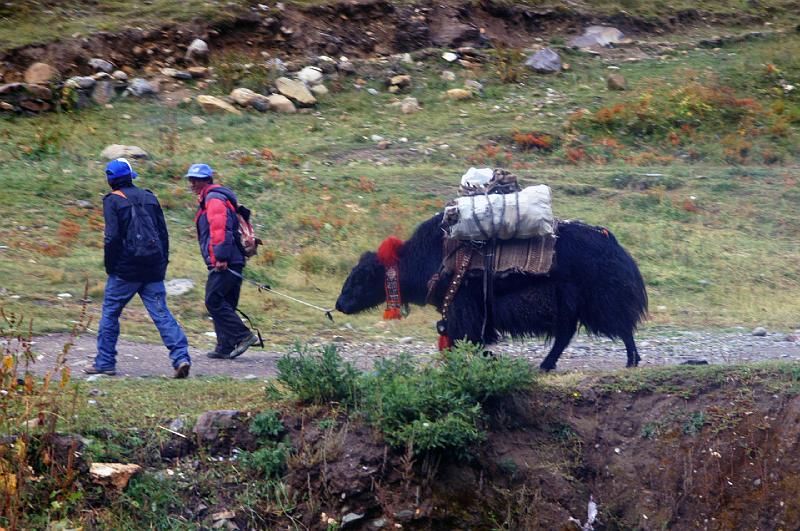 TIBET SEPT2008-164.JPG